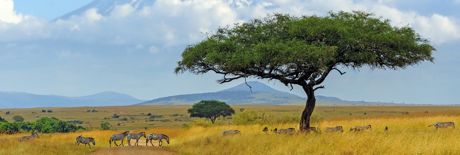 Feld, Grünland, Natur, Savanne, Landschaft