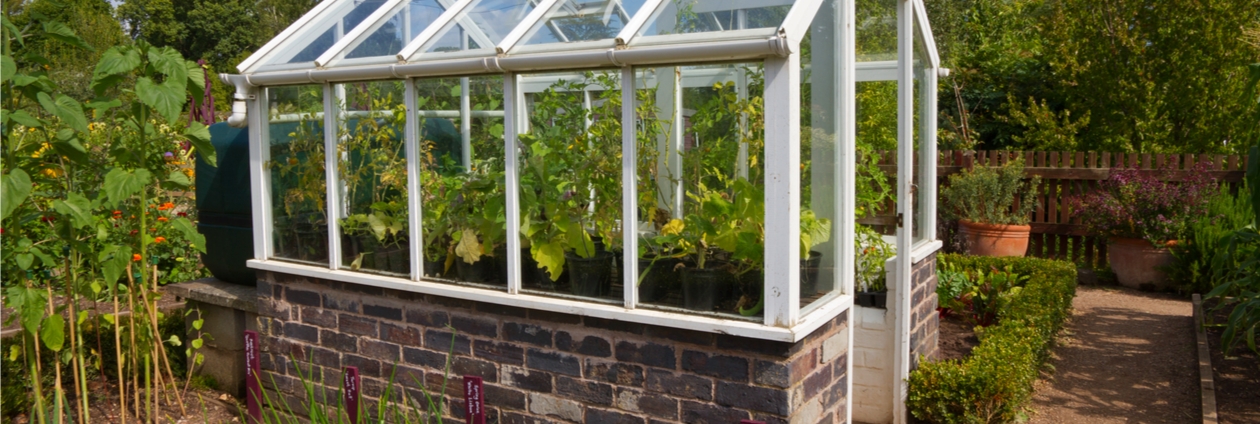 Garten, Natur, Draußen, Gartenarbeit, Gewächshaus