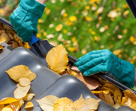 Blatt, Haus, Wohnen, Dach, Person