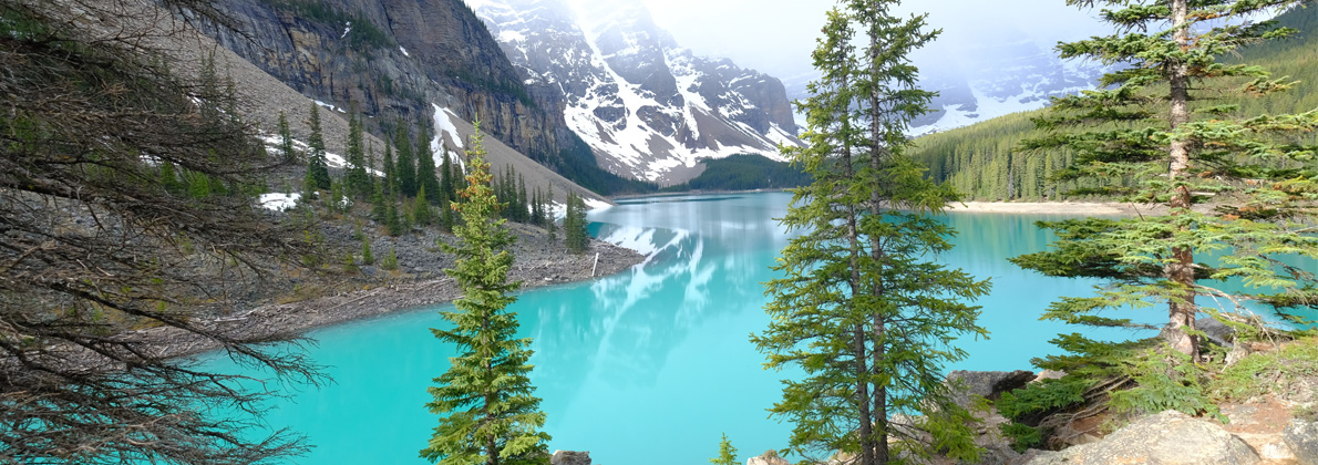 Baum, Szenerie, See, Tanne, Landschaft